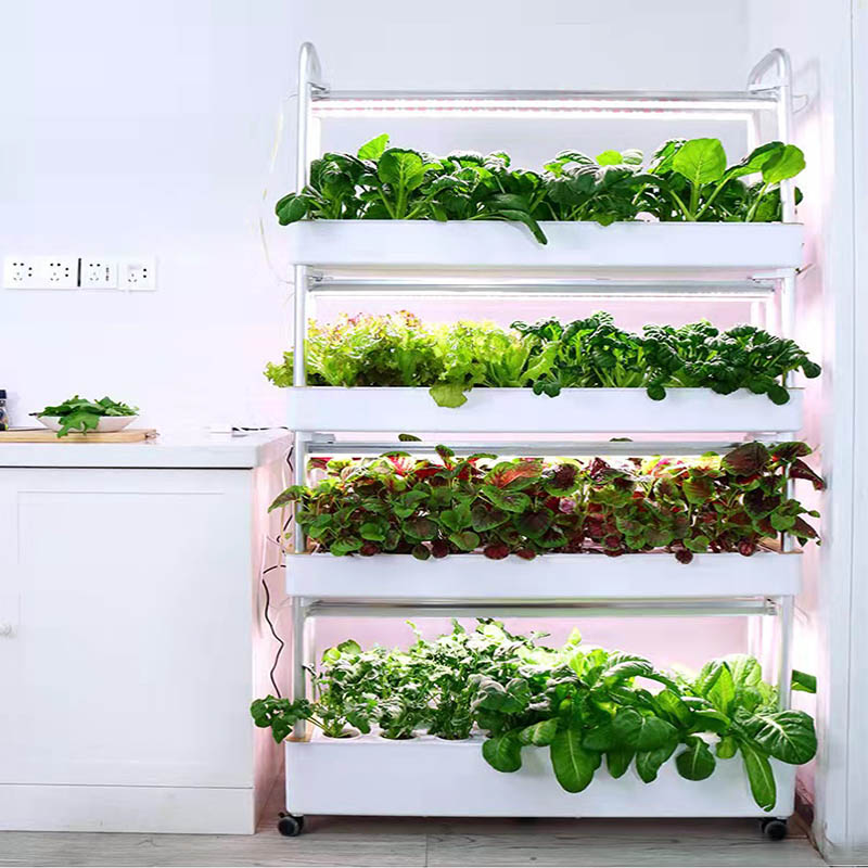ydroponic Planting System Smar - Home Automation System Diy recension och pris