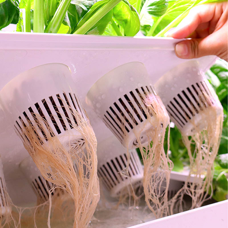 ydroponic Planting System Smar - Home Automation System Diy recension och pris